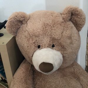 Meet your Posher, Joell